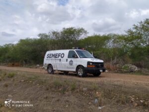 semefo-2